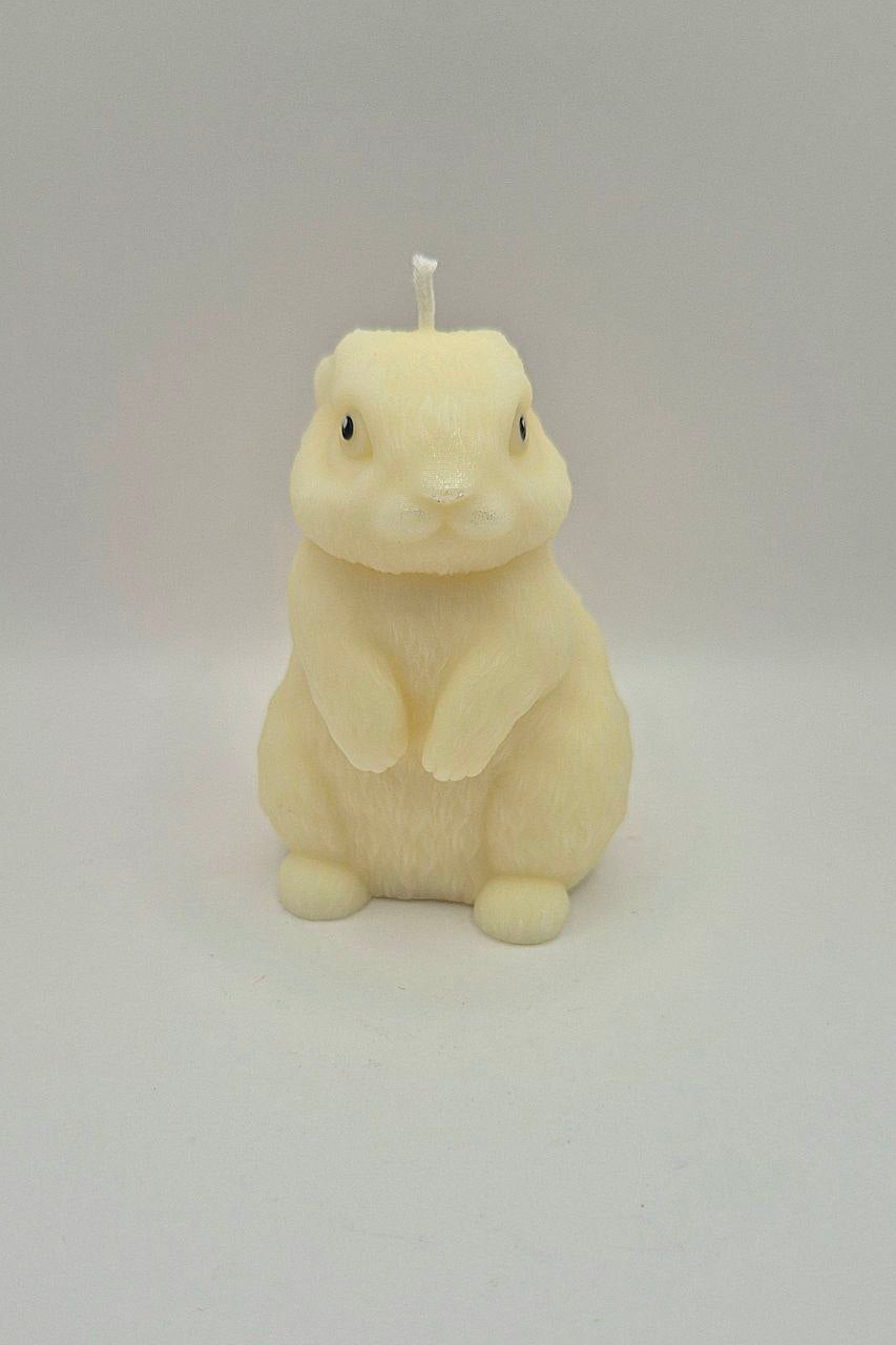 Mr. Hoppy – Bunny Candle