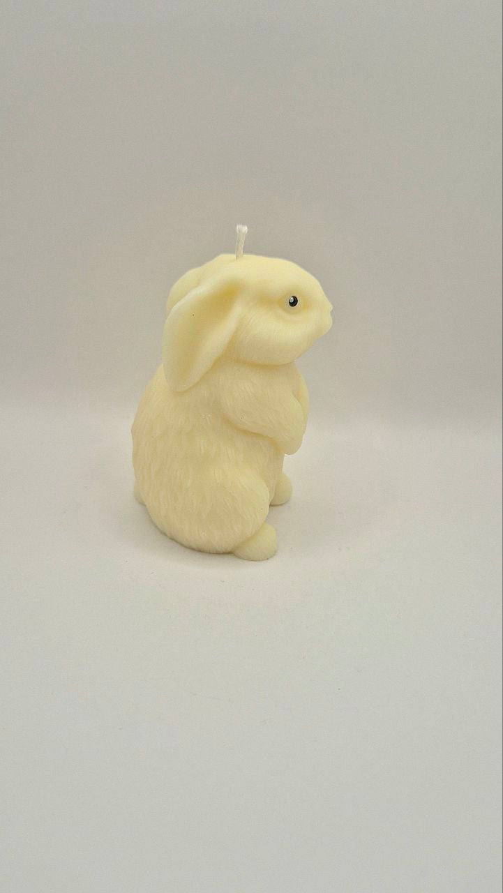 Mr. Hoppy – Bunny Candle